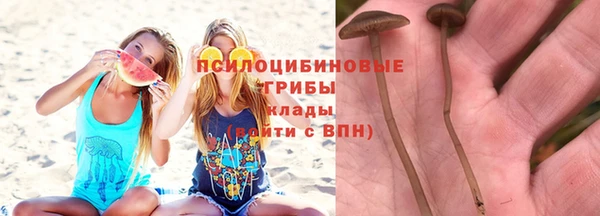 прущие крисы Баксан