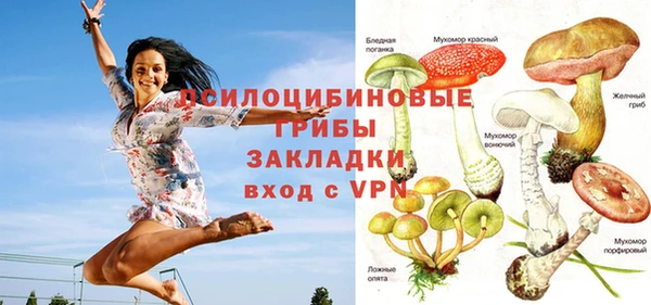 прущие крисы Баксан