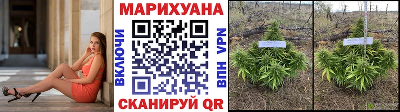 Бошки Шишки VHQ  Змеиногорск 